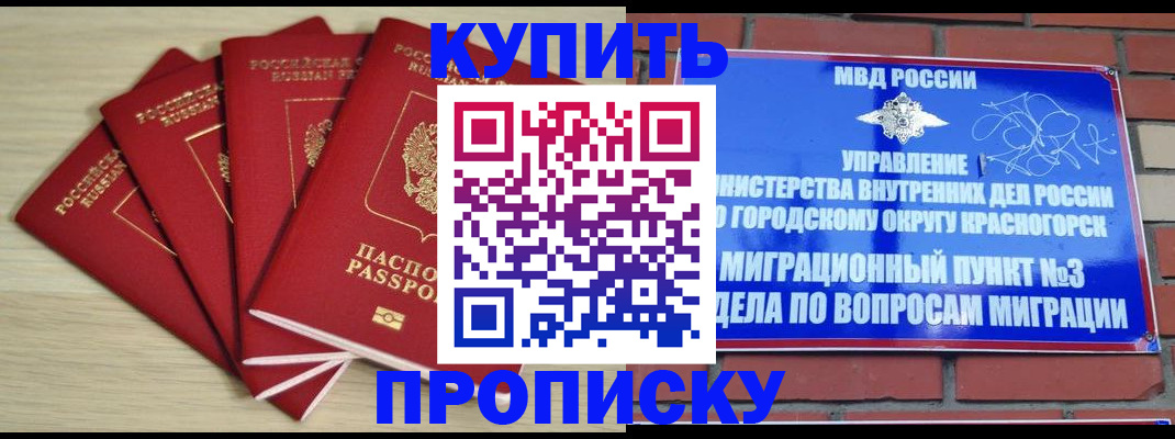 пропишу в квартире в Новокуйбышевске